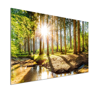 Platte für Küchenrückwand Panorama des Waldes