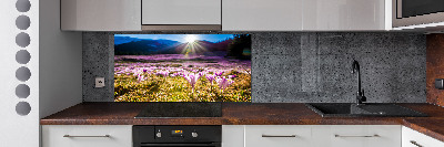 Küchen wandpaneel Krokusse auf der Lichtung