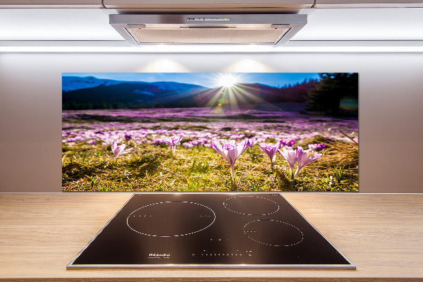 Küchen wandpaneel Krokusse auf der Lichtung