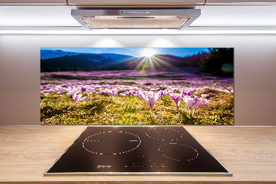 Küchen wandpaneel Krokusse auf der Lichtung