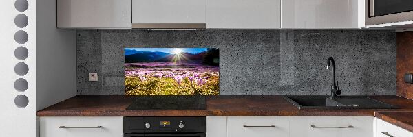 Küchen wandpaneel Krokusse auf der Lichtung