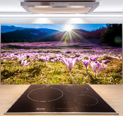 Küchen wandpaneel Krokusse auf der Lichtung