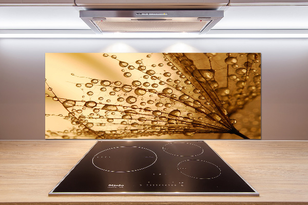 Küchen wandpaneel Löwenzahnsamen