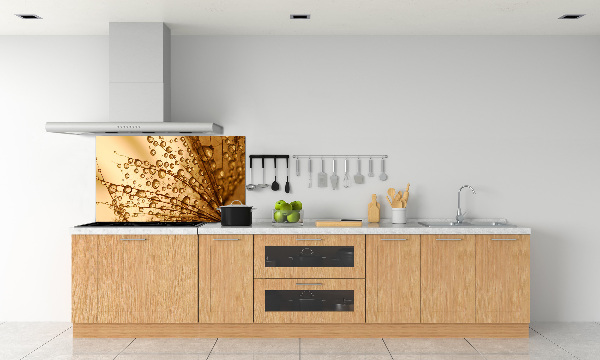 Küchen wandpaneel Löwenzahnsamen