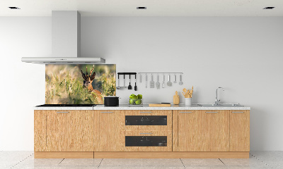 Küchen wandpaneel Hirsche im Feld