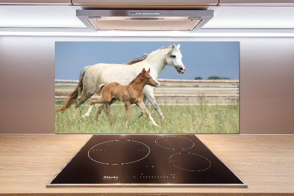 Glasrückwand für die küche Stute mit Fohlen