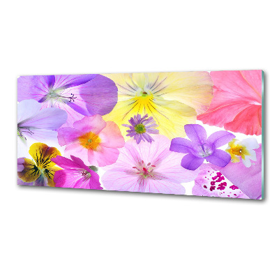 Platte für Küchenrückwand Stiefmütterchen