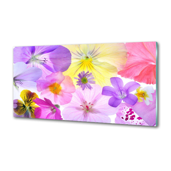 Platte für Küchenrückwand Stiefmütterchen