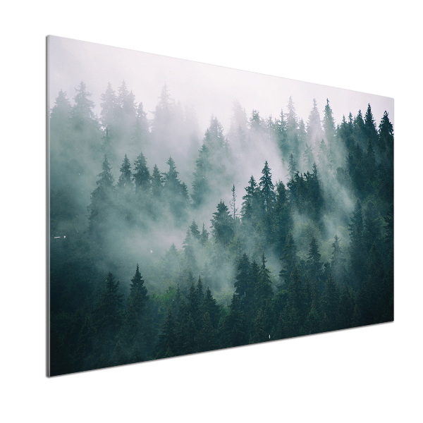 Glasrückwand für die küche Nebel über dem Wald