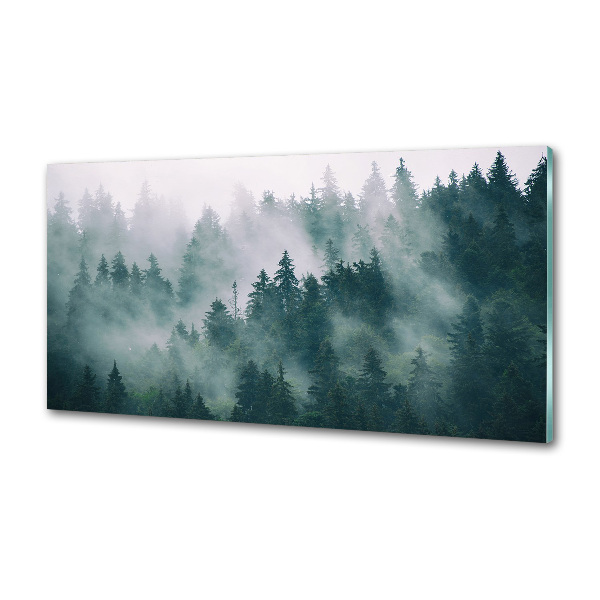 Glasrückwand für die küche Nebel über dem Wald