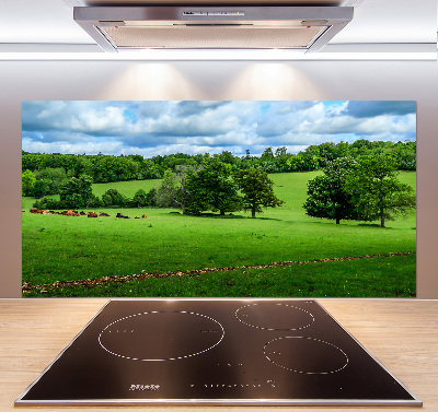 Küchen wandpaneel Grüne Hügel