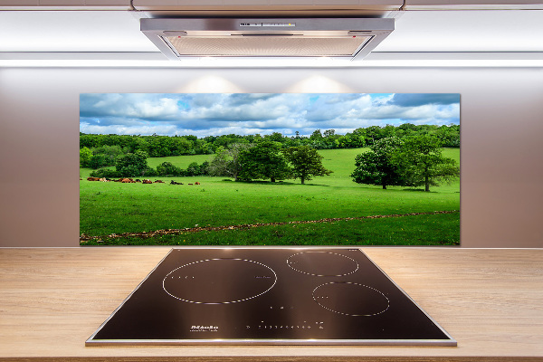 Küchen wandpaneel Grüne Hügel