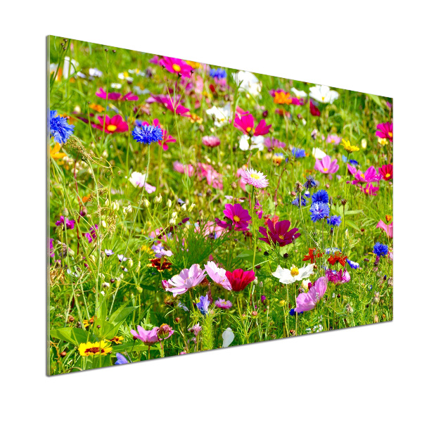 Küchen wandpaneel Wildblumen