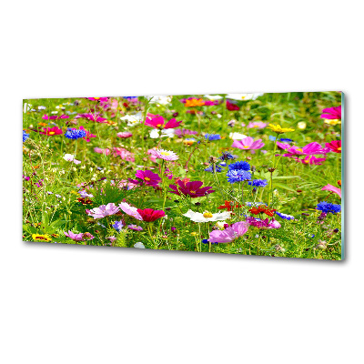 Küchen wandpaneel Wildblumen