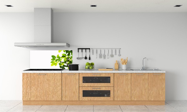 Platte für Küchenrückwand Blätter