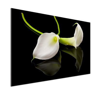 Küchen wandpaneel Calla