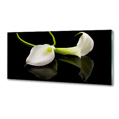 Küchen wandpaneel Calla