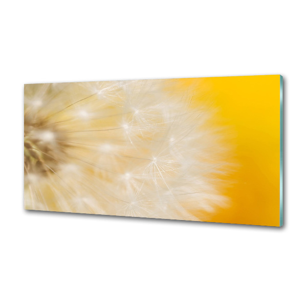 Küchen wandpaneel Löwenzahn