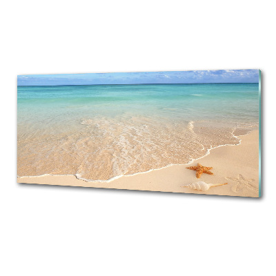 Platte für Küchenrückwand Seesterne am Strand