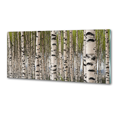 Glasrückwand für die küche Birkenwald