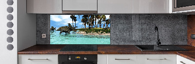 Küchen wandpaneel Dinosaurier