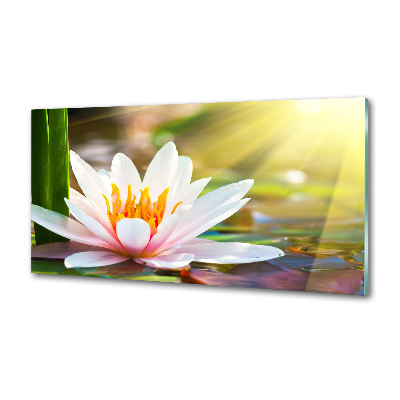 Platte für Küchenrückwand Seerose