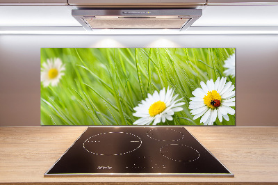 Küchen wandpaneel Gänseblümchen