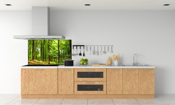 Glasrückwand für die küche Waldweg