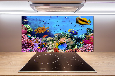 Platte für Küchenrückwand Korallenriff