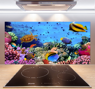 Platte für Küchenrückwand Korallenriff