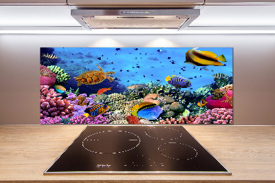 Platte für Küchenrückwand Korallenriff