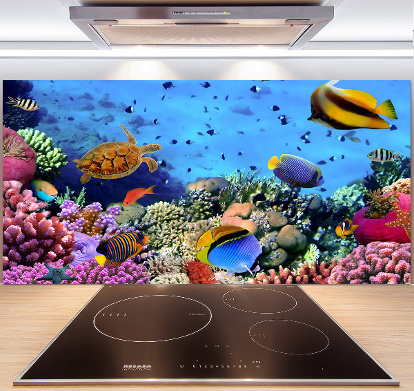 Platte für Küchenrückwand Korallenriff