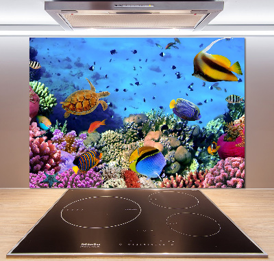 Platte für Küchenrückwand Korallenriff