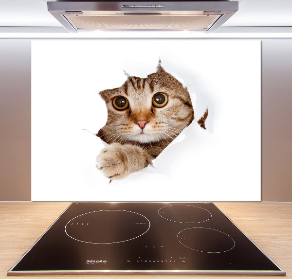 Küchen wandpaneel Katze