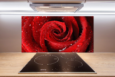 Glasrückwand für die küche Tropfen auf einer Rose