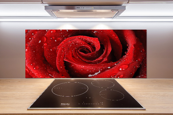 Glasrückwand für die küche Tropfen auf einer Rose