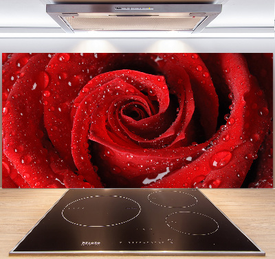 Glasrückwand für die küche Tropfen auf einer Rose