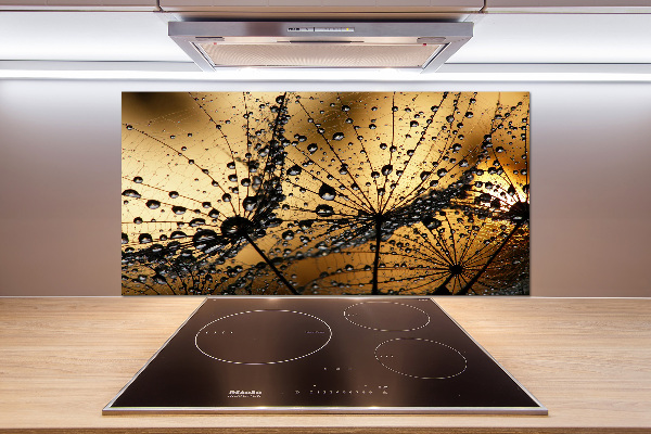 Platte für Küchenrückwand Löwenzahnsamen