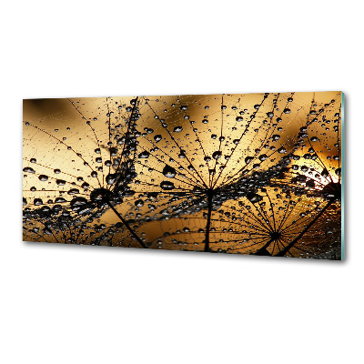 Platte für Küchenrückwand Löwenzahnsamen