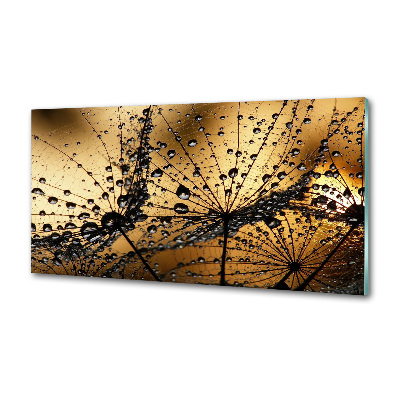 Platte für Küchenrückwand Löwenzahnsamen