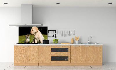 Platte für Küchenrückwand Hund und Katze auf der Wiese