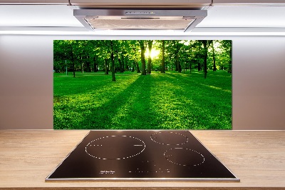 Platte für Küchenrückwand Gras im Park