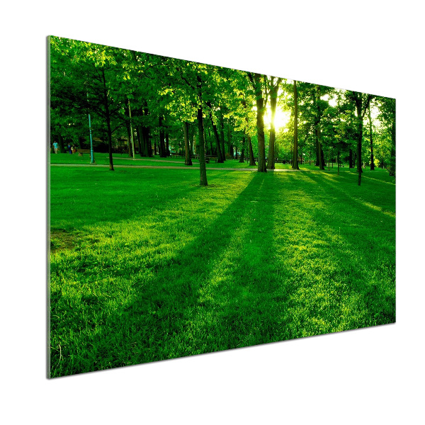 Platte für Küchenrückwand Gras im Park