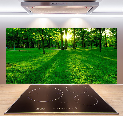 Platte für Küchenrückwand Gras im Park