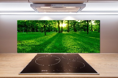 Platte für Küchenrückwand Gras im Park