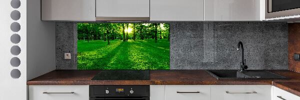 Platte für Küchenrückwand Gras im Park