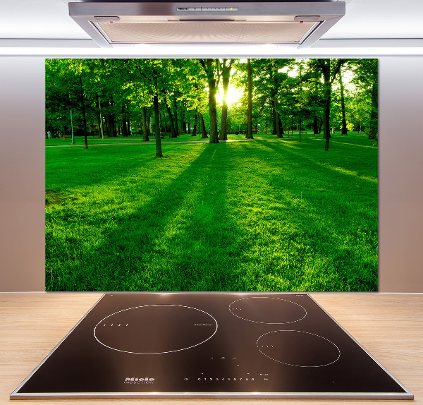 Platte für Küchenrückwand Gras im Park