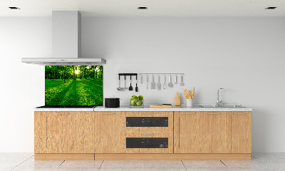 Platte für Küchenrückwand Gras im Park