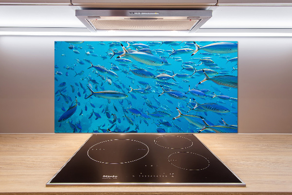 Küchen wandpaneel Korallenfische