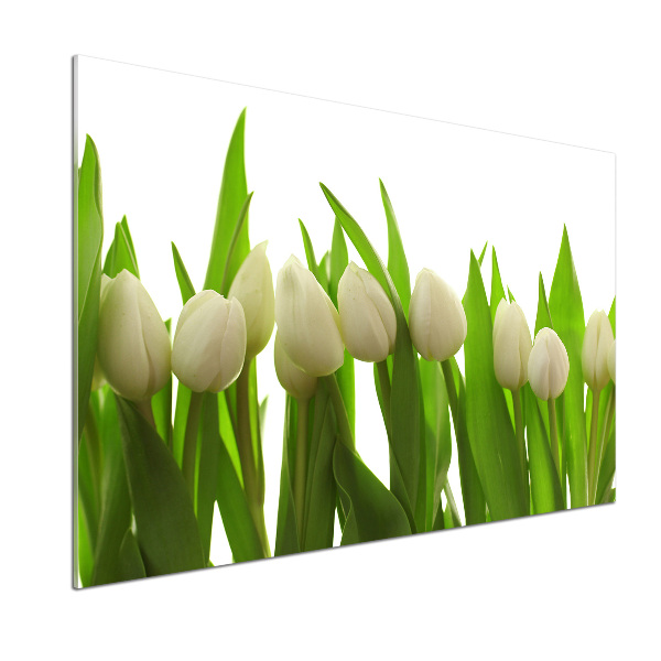 Glasrückwand für die küche Weiße Tulpen